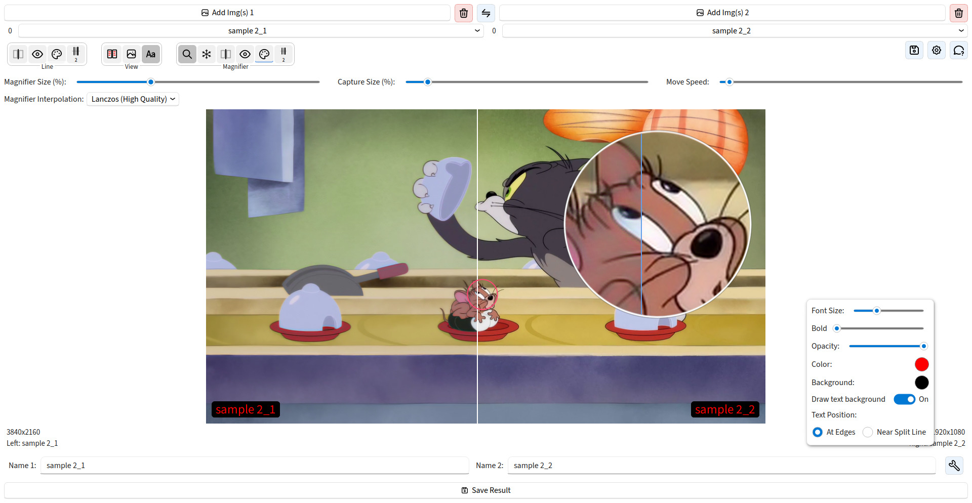 Vertical comparison with unified magnifier and text settings